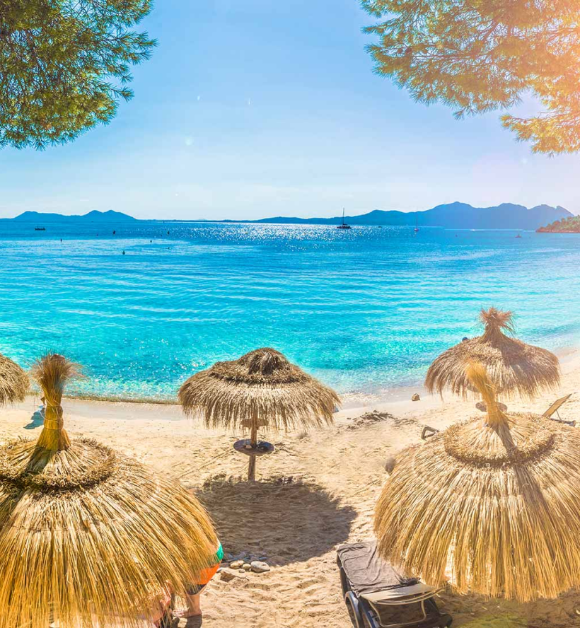 Culinary Travel Guide